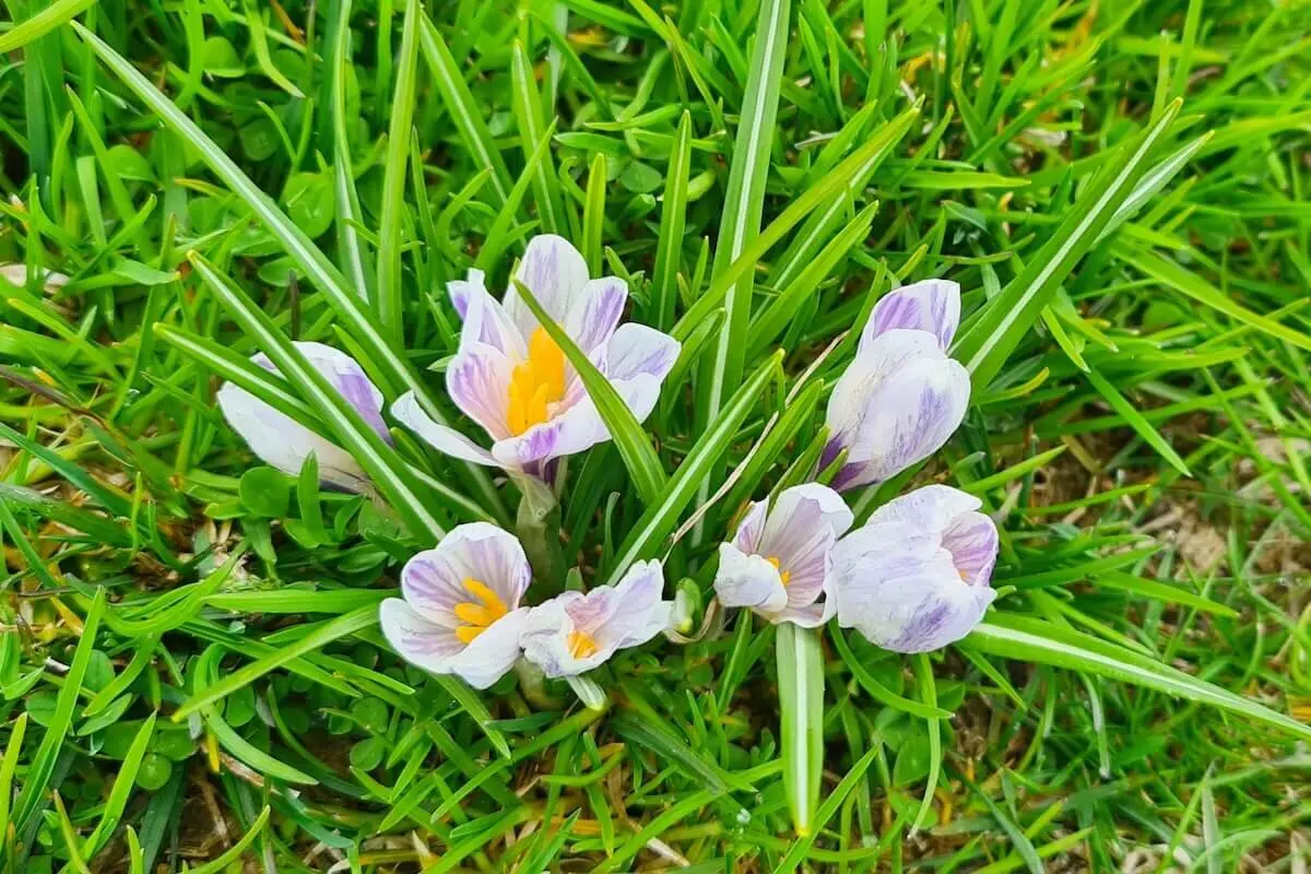 Klettern, Wandern, Radfahren Himmelfahrtswochenende 2023 Tessin | © DAV Markt Schwaben | Foto  Andrea Kretzschmar