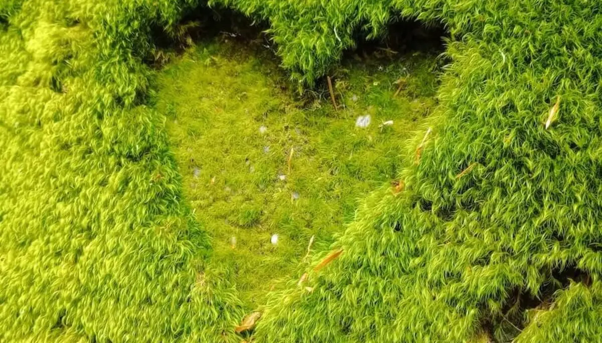 Bergwandern Elbsandstein 2023 Juni | © Sabine Hainz