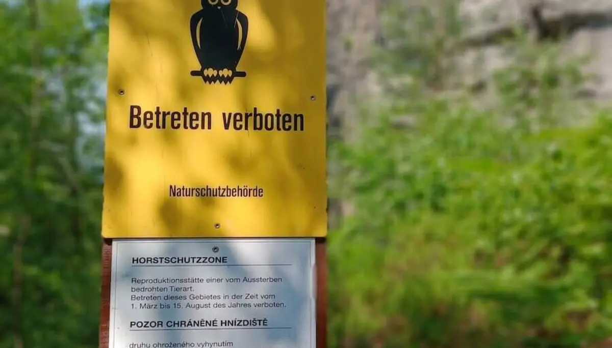 Bergwandern Elbsandstein 2023 Juni | © Sabine Hainz