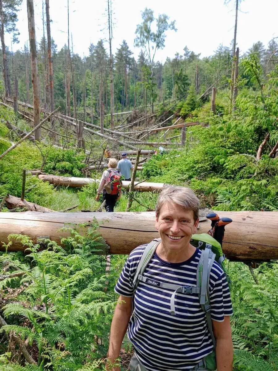 Bergwandern Elbsandstein 2023 Juni | © Sabine Hainz