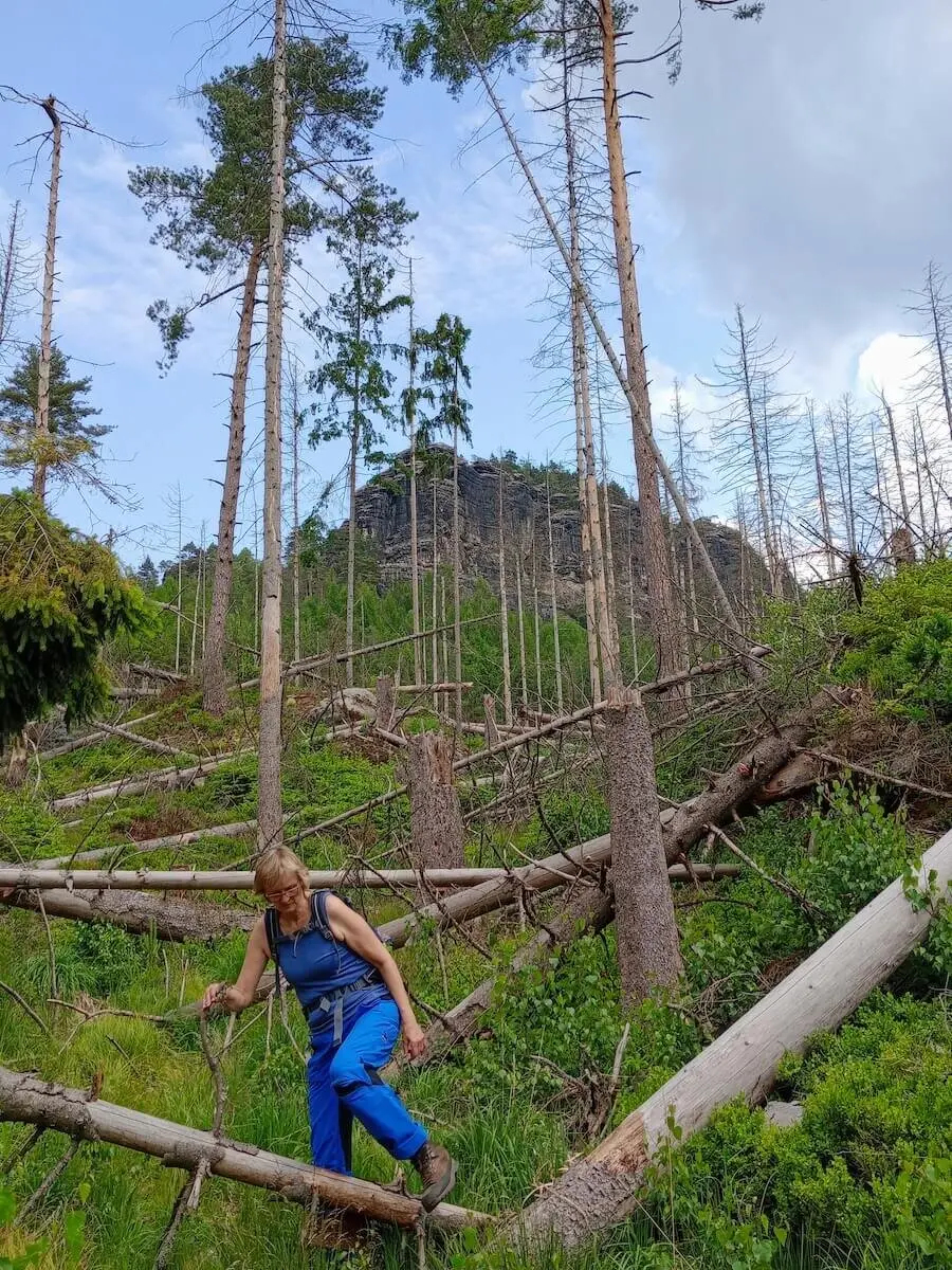 Bergwandern Elbsandstein 2023 Juni | © Sabine Hainz