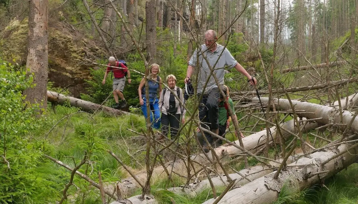 Bergwandern Elbsandstein 2023 Juni | © Lutz Gründel
