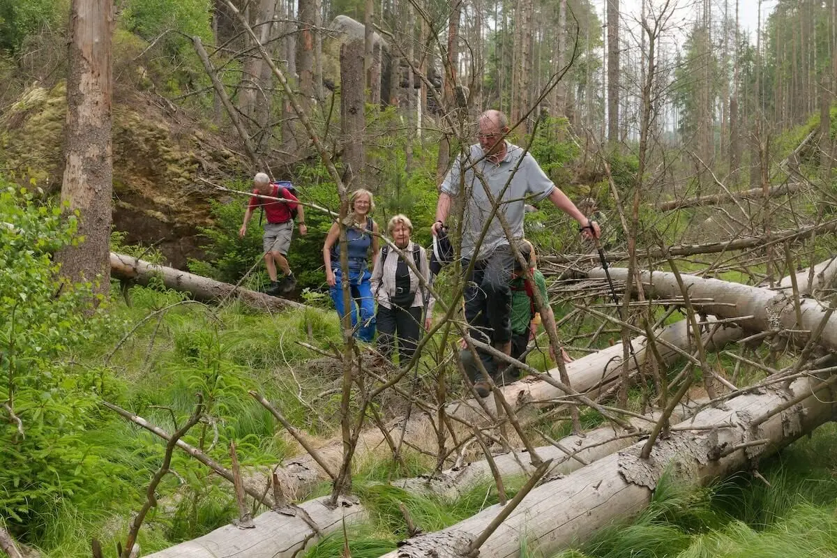 Bergwandern Elbsandstein 2023 Juni | © Lutz Gründel