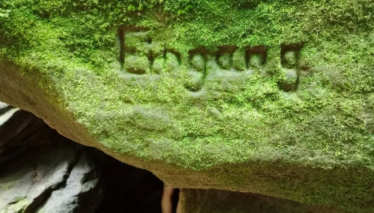 Bergwandern Elbsandstein 2023 Juni | © Sabine Hainz