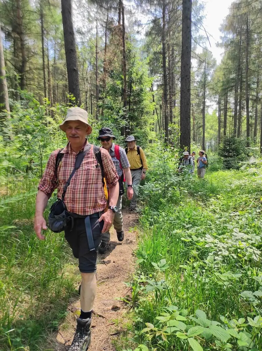 Bergwandern Elbsandstein 2023 Juni | © Jacqueline Kästner