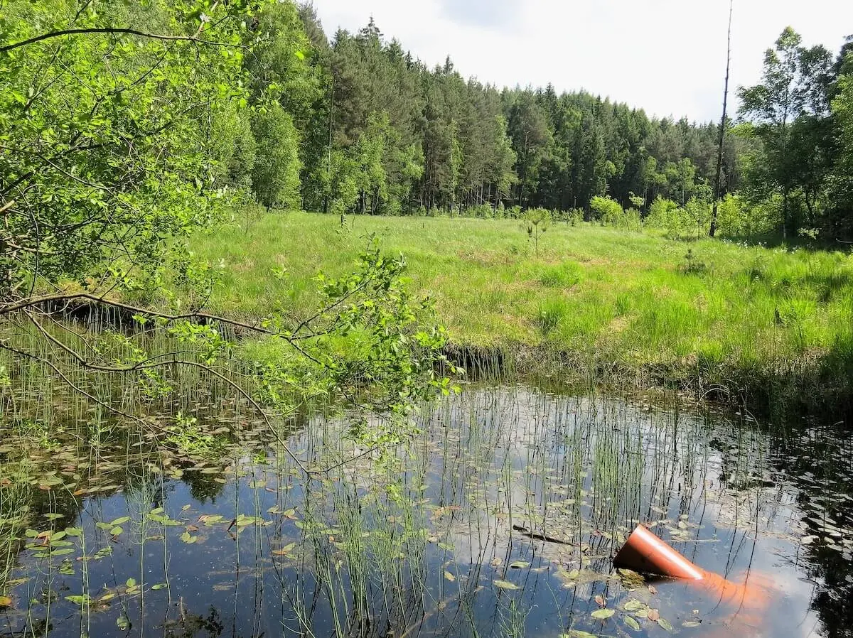 Bergwandern Elbsandstein 2023 Juni | © Erwin Matzinger