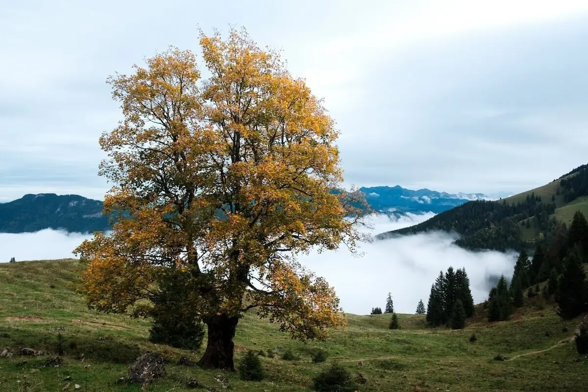 Jahreszeitwanderung Herbst 2023 Oktober | © DAV Markt Schwaben | Foto Bernhard Zech