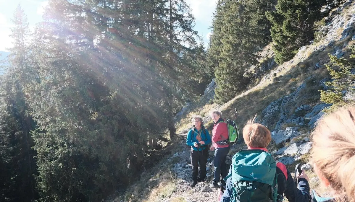 Jahreszeitwanderung Herbst 2023 Oktober | © DAV Markt Schwaben | Foto Bernhard Zech