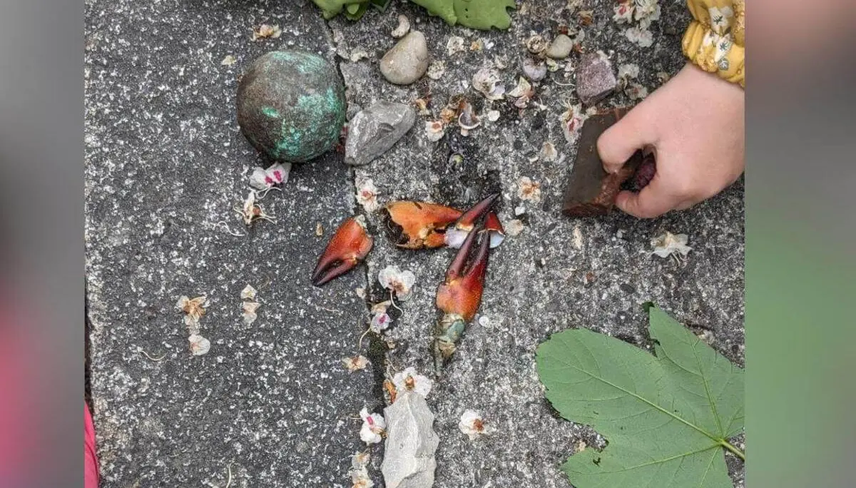 Gefundene Spuren | © DAV Markt Schwaben/Silke Titze