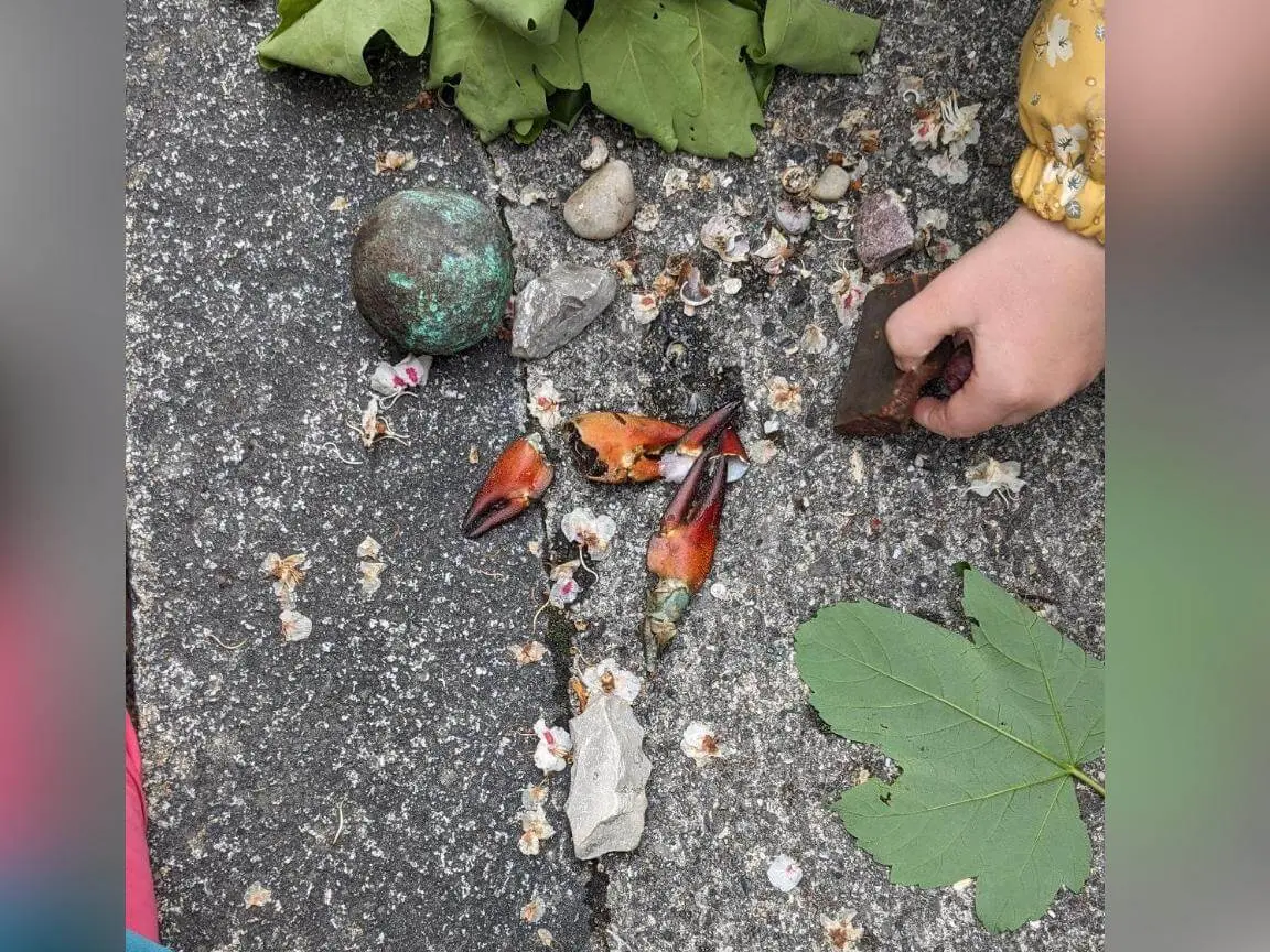 Gefundene Spuren | © DAV Markt Schwaben/Silke Titze