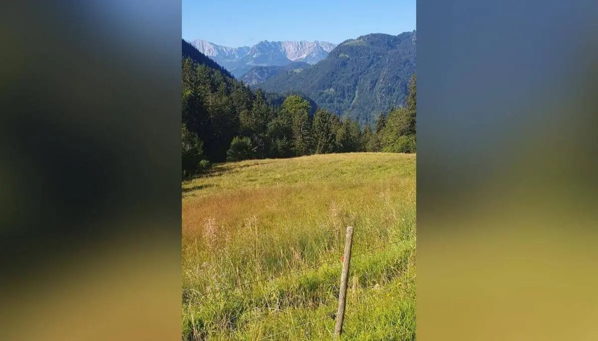 Grüne Wiese mit Holzpfosten im Vordergrund, dahinter dichter Wald und hohe, felsige Berggipfel unter klarem blauem Himmel. | © DAV Markt Schwaben/Anna Maria Blau