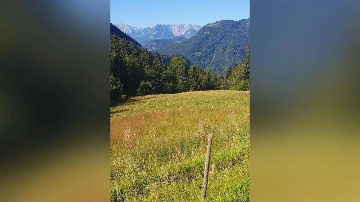 Grüne Wiese mit Holzpfosten im Vordergrund, dahinter dichter Wald und hohe, felsige Berggipfel unter klarem blauem Himmel. | © DAV Markt Schwaben/Anna Maria Blau