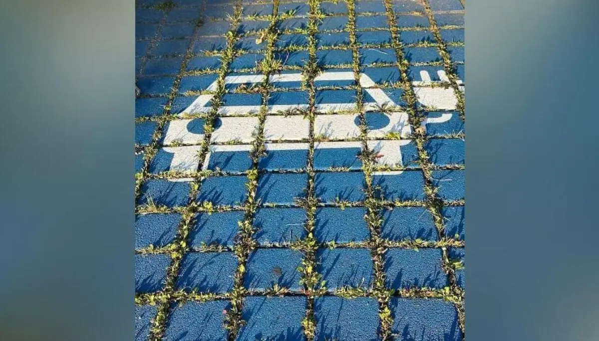 Blau gefliester Boden mit weißem Symbol für ein Elektroauto; zwischen den Fugen wächst Gras, das Pflaster wirkt leicht überwachsen. | © DAV Markt Schwaben/Elke Kressirer