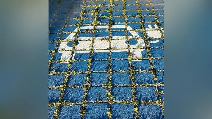 Blau gefliester Boden mit weißem Symbol für ein Elektroauto; zwischen den Fugen wächst Gras, das Pflaster wirkt leicht überwachsen. | © DAV Markt Schwaben/Elke Kressirer