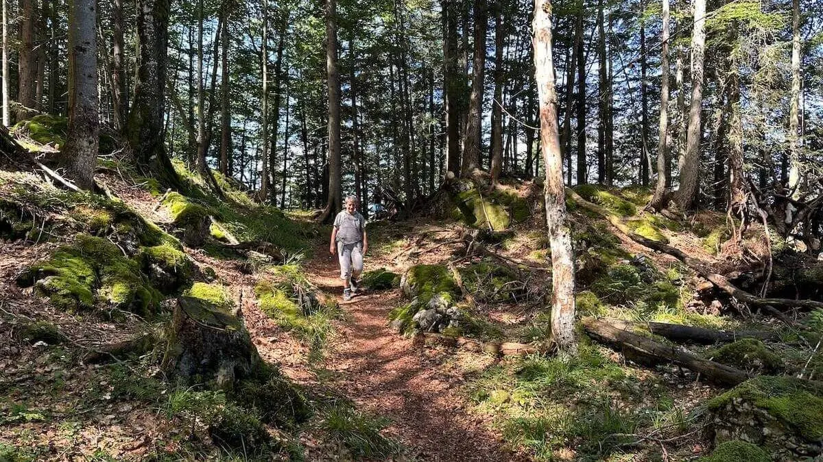 Person geht auf schmalem Waldpfad zwischen hohen Bäumen; Moos, Wurzeln und Sonnenflecken prägen die ruhige Waldszene. | © DAV Markt Schwaben/Elke Kressirer