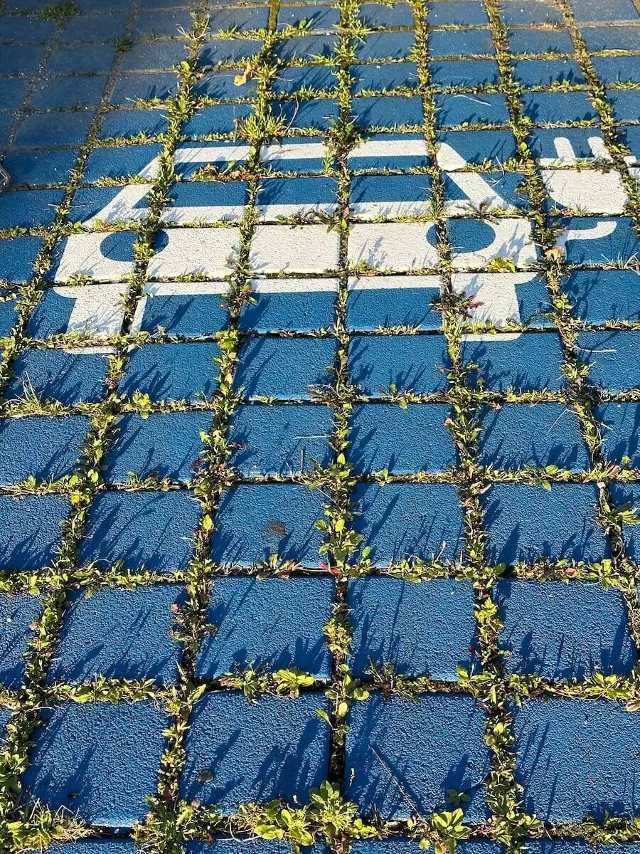 Jahreszeitenwanderung Sommer Taubensee 2024 August | © DAV Markt Schwaben | Foto Elke Kressirer