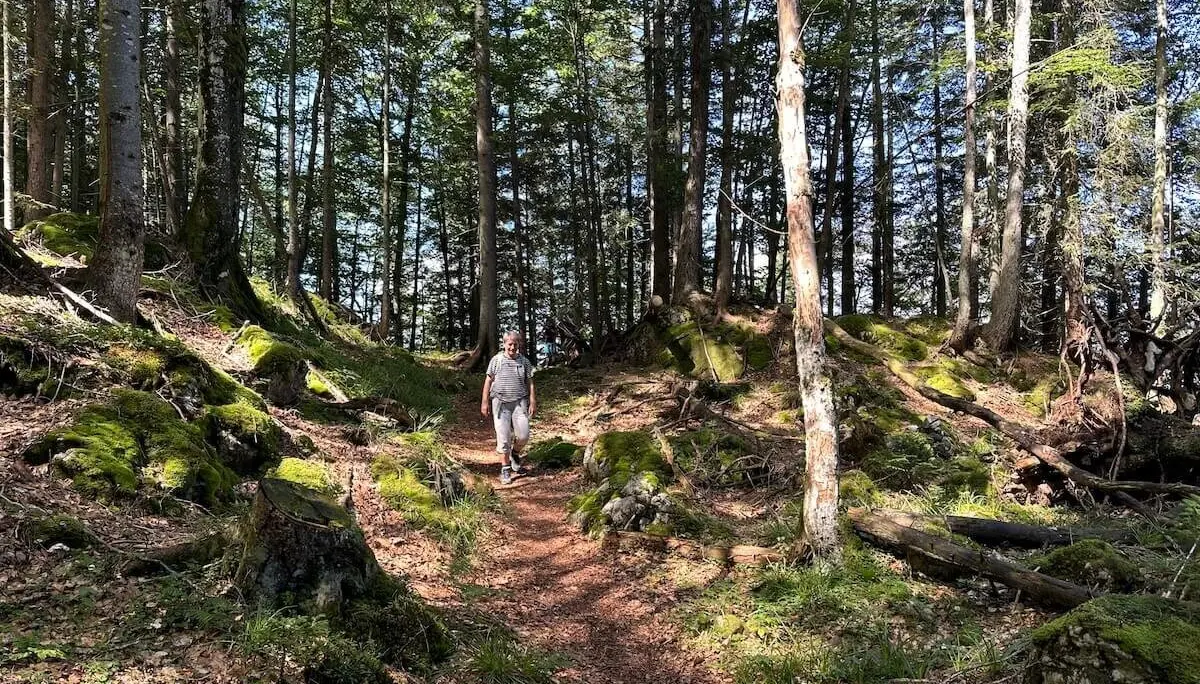 Jahreszeitenwanderung Sommer Taubensee 2024 August | © DAV Markt Schwaben | Foto Elke Kressirer
