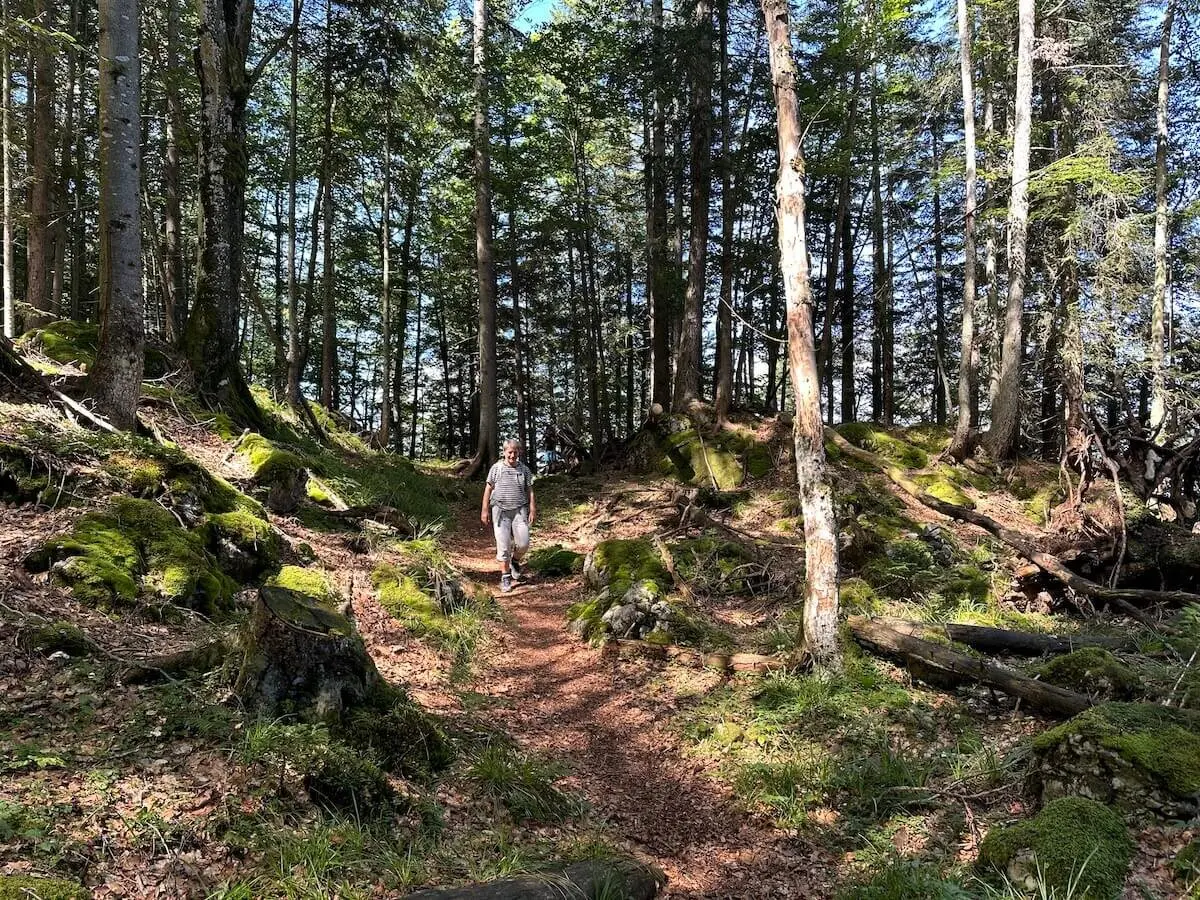 Jahreszeitenwanderung Sommer Taubensee 2024 August | © DAV Markt Schwaben | Foto Elke Kressirer