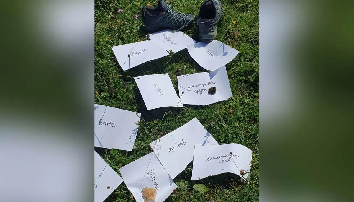Auf einer Wiese liegen Wanderschuhe neben Zetteln mit Begriffen wie „Fülle“, „Wärme“ und „Ernte“, beschwert mit kleinen Naturgegenständen. | © DAV Markt Schwaben/Anna Maria Blau
