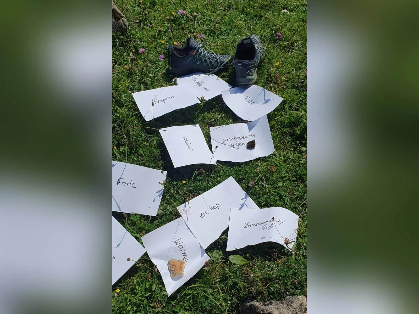 Auf einer Wiese liegen Wanderschuhe neben Zetteln mit Begriffen wie „Fülle“, „Wärme“ und „Ernte“, beschwert mit kleinen Naturgegenständen. | © DAV Markt Schwaben/Anna Maria Blau