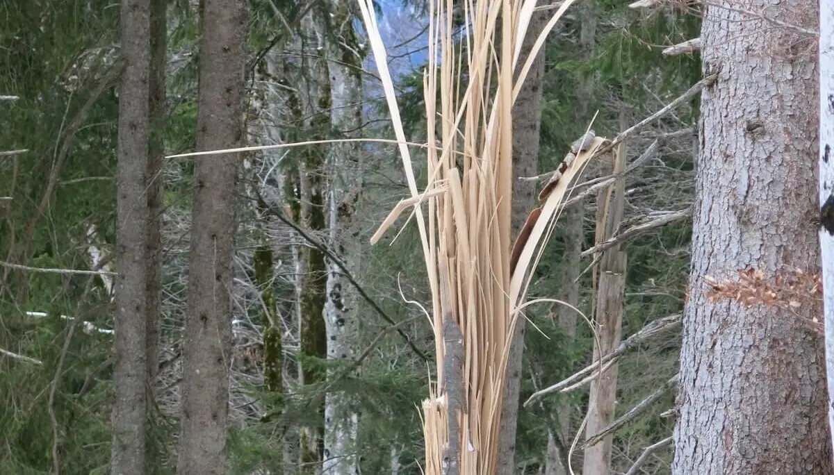 SPIRI Wanderung Graleitenkopf | © DAV Markt Schwaben | Erwin Matzinger