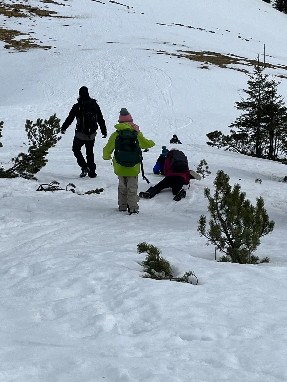 © Wiebke Rauschenbach