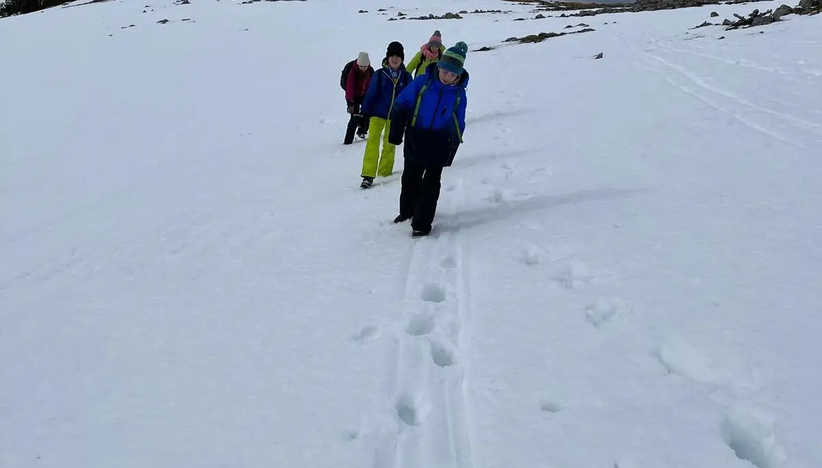 © Wiebke Rauschenbach