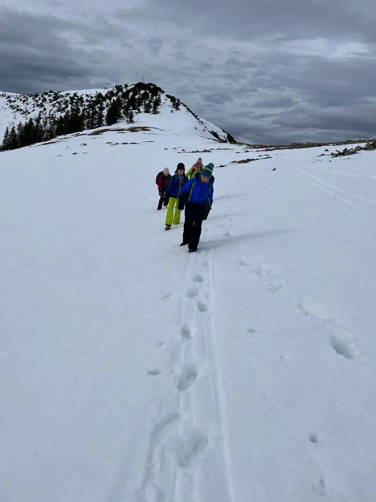 © Wiebke Rauschenbach