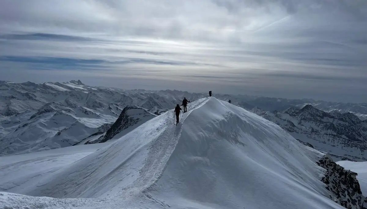 Skihochtour Großvenediger April 2024 - Auf dem Grat zum Venediger | © DAV Markt Schwaben | Foto Markus Sellmeier