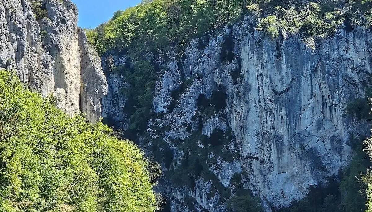 Wanderung Kelheim Kloster Weltenburg Seniorengruppe April 2024 | © DAV Markt Schwaben