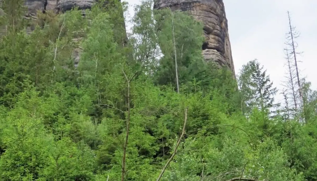 Wilde Touren im Elbsandstein Juni 2024 | © DAV Markt Schwaben | Foto Isabella Adams