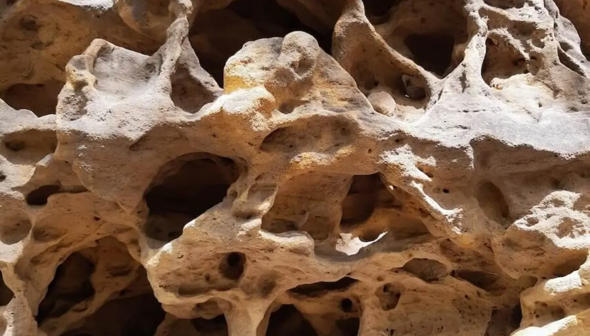 Wilde Touren im Elbsandstein Juni 2024 | © DAV Markt Schwaben | Foto Isabella Adams