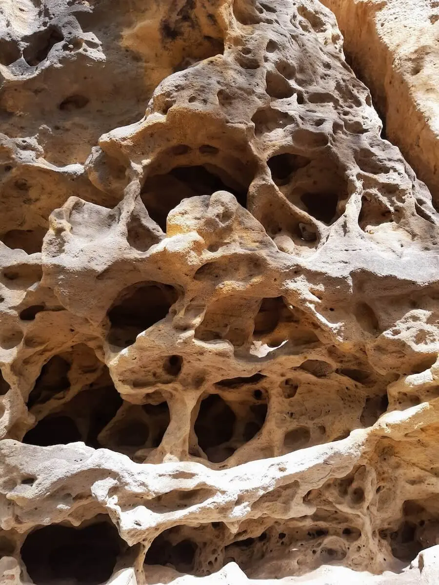 Wilde Touren im Elbsandstein Juni 2024 | © DAV Markt Schwaben | Foto Isabella Adams