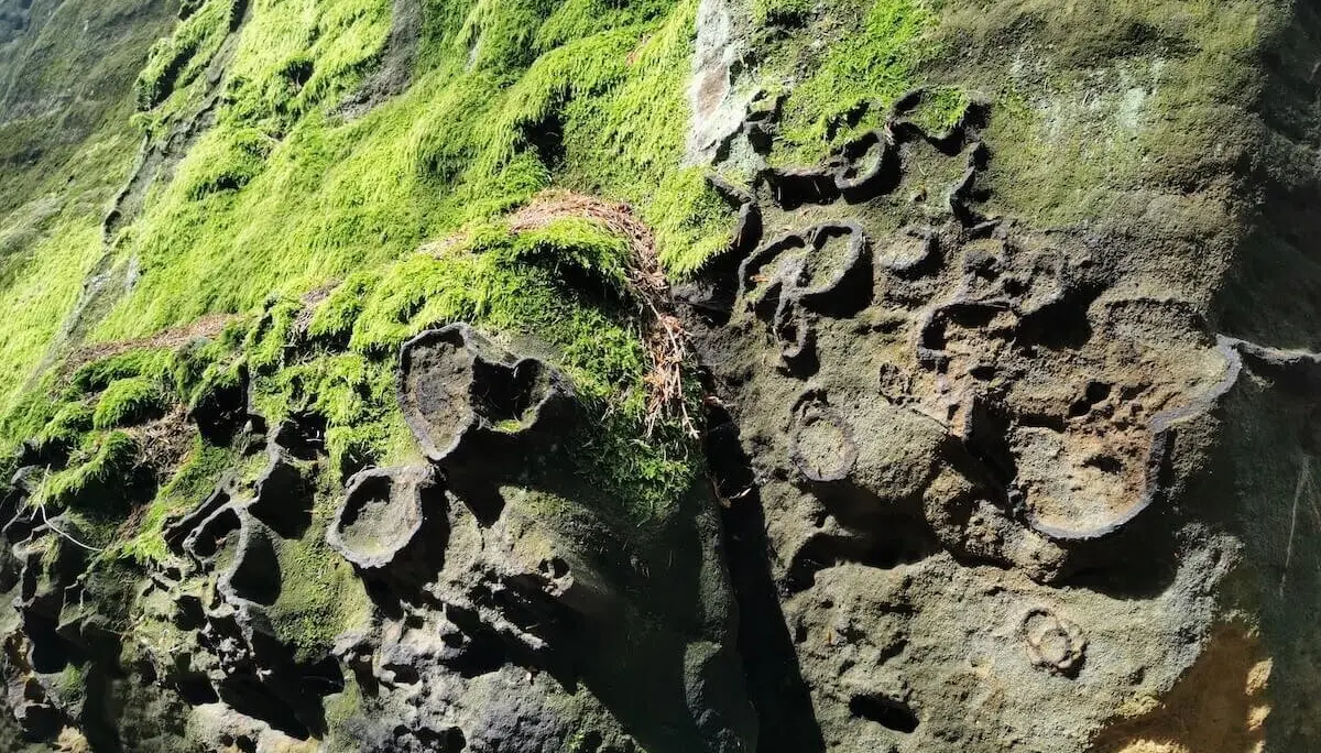 Wilde Touren im Elbsandstein Juni 2024 | © DAV Markt Schwaben | Foto Stefan Adams