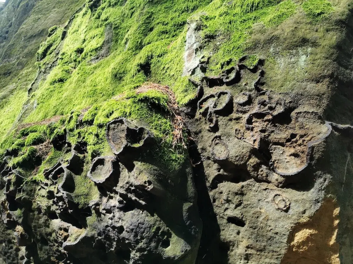 Wilde Touren im Elbsandstein Juni 2024 | © DAV Markt Schwaben | Foto Stefan Adams