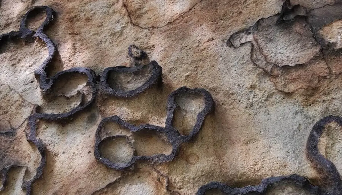 Wilde Touren im Elbsandstein Juni 2024 | © DAV Markt Schwaben | Foto Isabella Adams