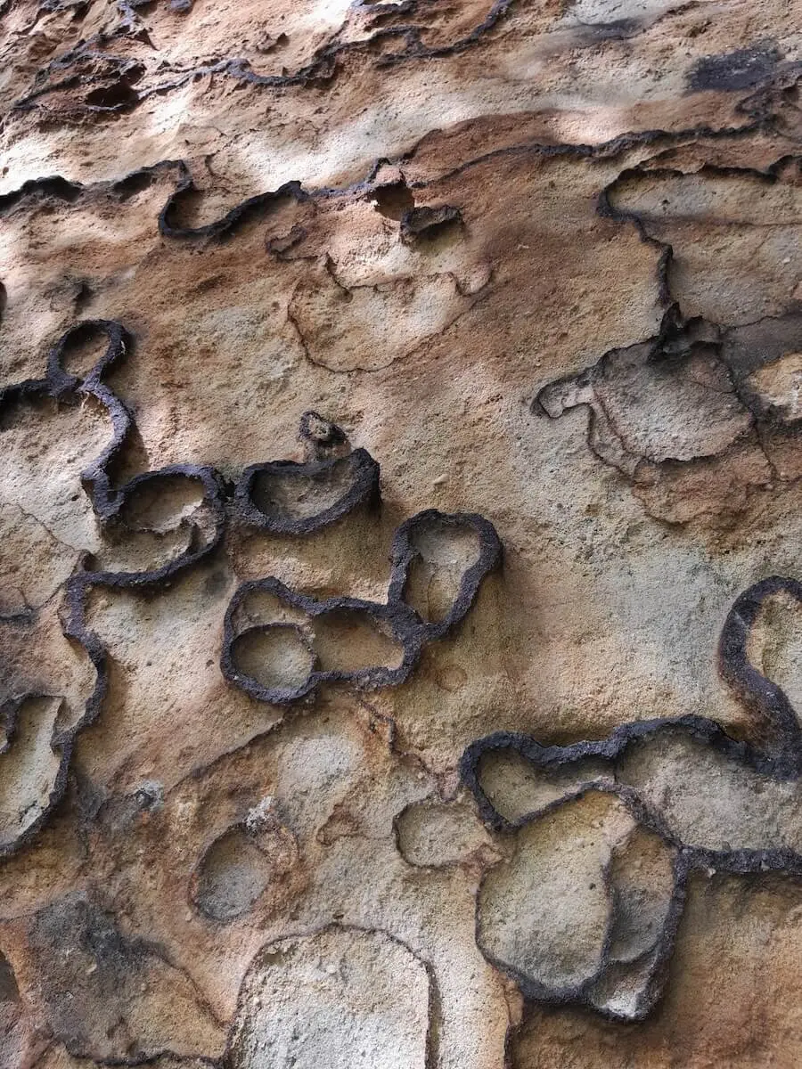 Wilde Touren im Elbsandstein Juni 2024 | © DAV Markt Schwaben | Foto Isabella Adams