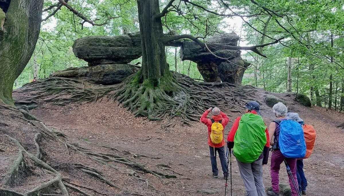 Wilde Touren im Elbsandstein Juni 2024 | © DAV Markt Schwaben | Foto Michaela Haaß