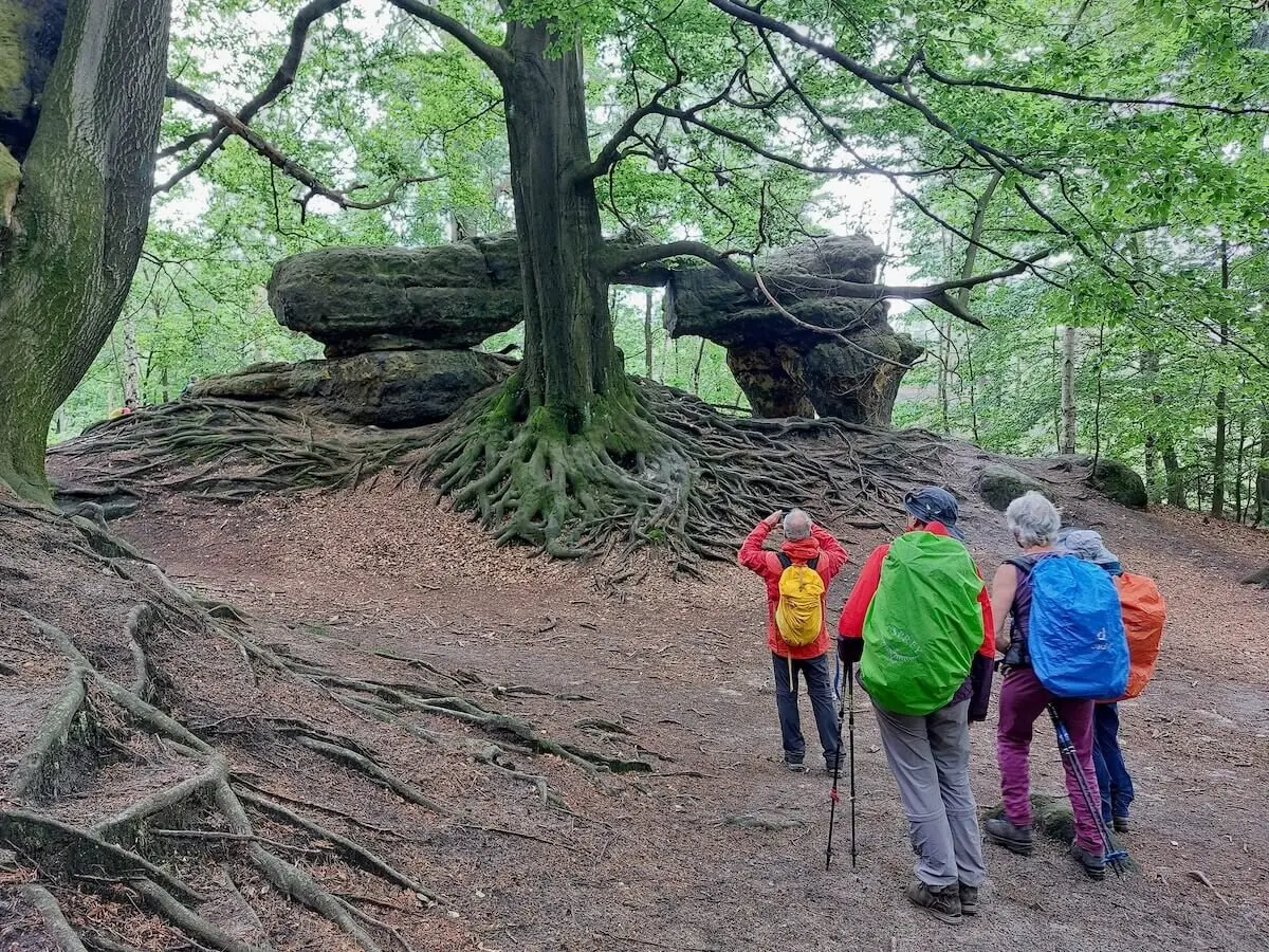 Wilde Touren im Elbsandstein Juni 2024 | © DAV Markt Schwaben | Foto Michaela Haaß