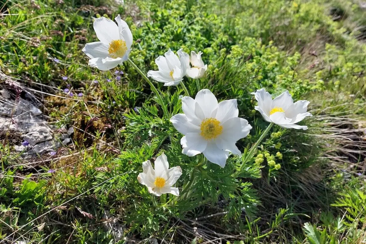 Wetterstein 3 Tage Juni 2024 | © DAV Markt Schwaben | Foto Lutz Gründel
