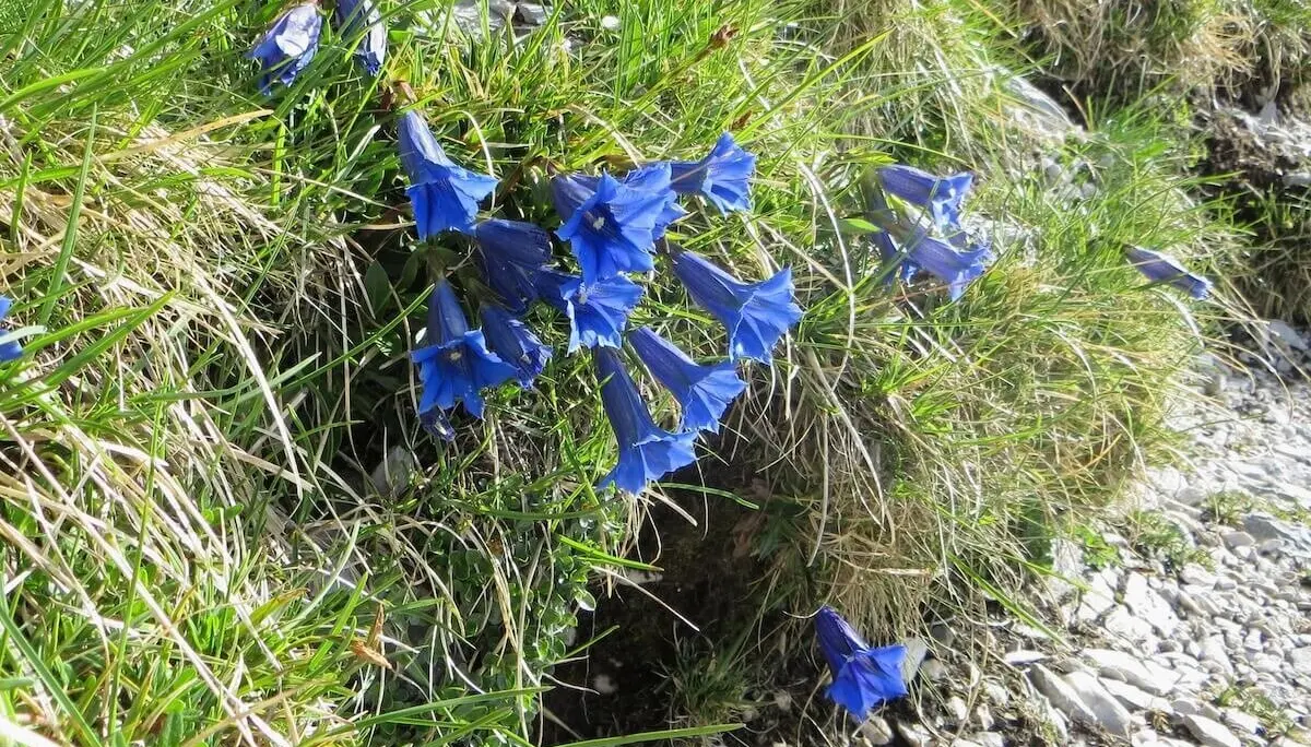 Wetterstein 3 Tage Juni 2024 | © DAV Markt Schwaben | Foto Gerlinde Hübl