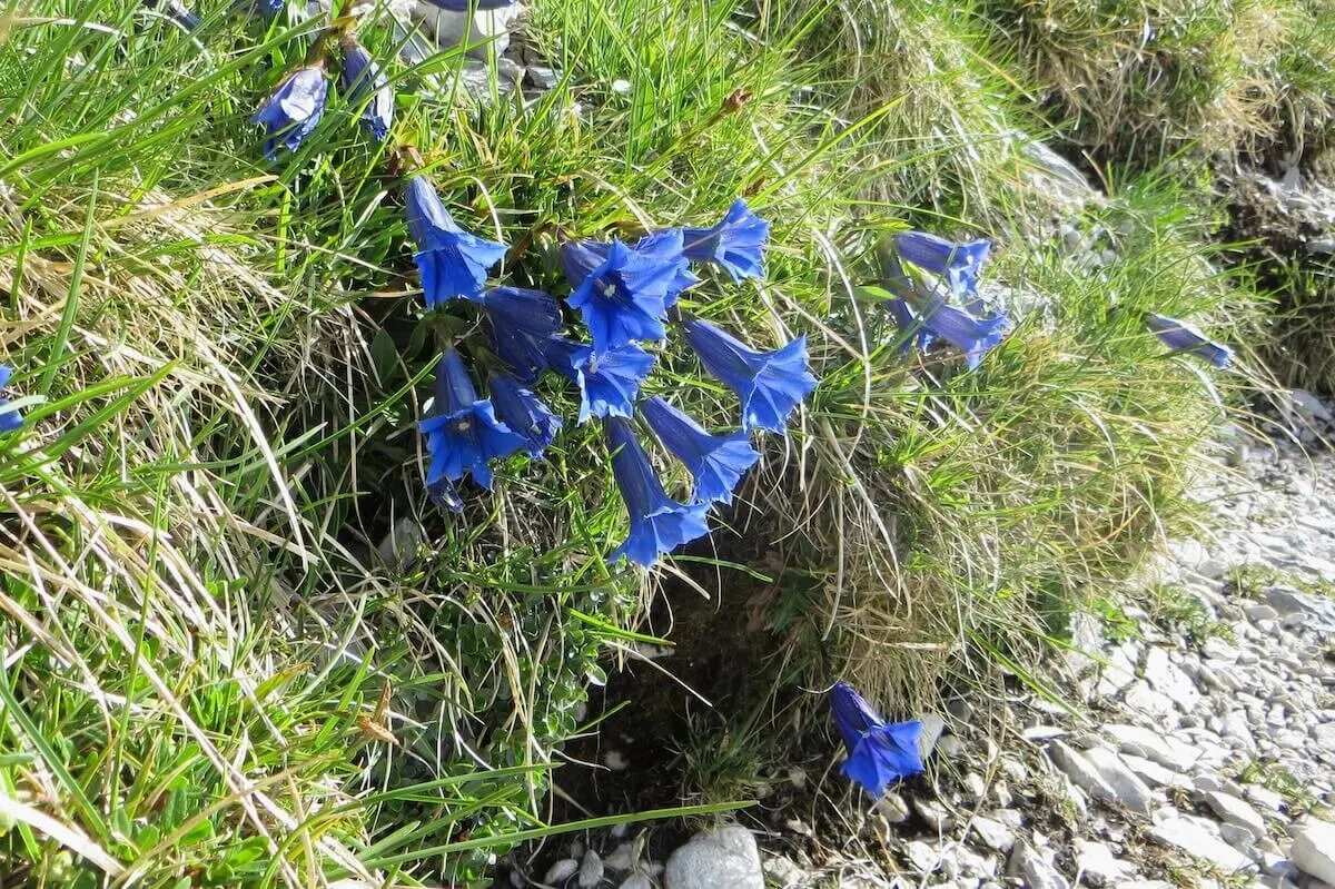 Wetterstein 3 Tage Juni 2024 | © DAV Markt Schwaben | Foto Gerlinde Hübl