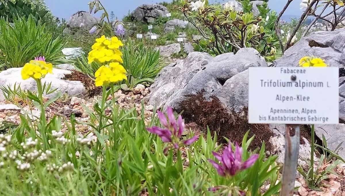 Wetterstein 3 Tage Juni 2024 | © DAV Markt Schwaben | Foto Lutz Gründel