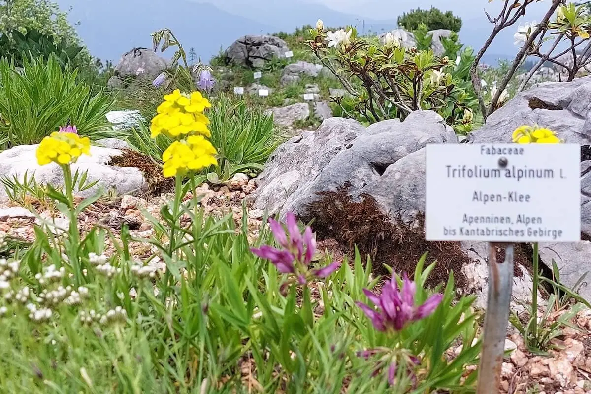 Wetterstein 3 Tage Juni 2024 | © DAV Markt Schwaben | Foto Lutz Gründel