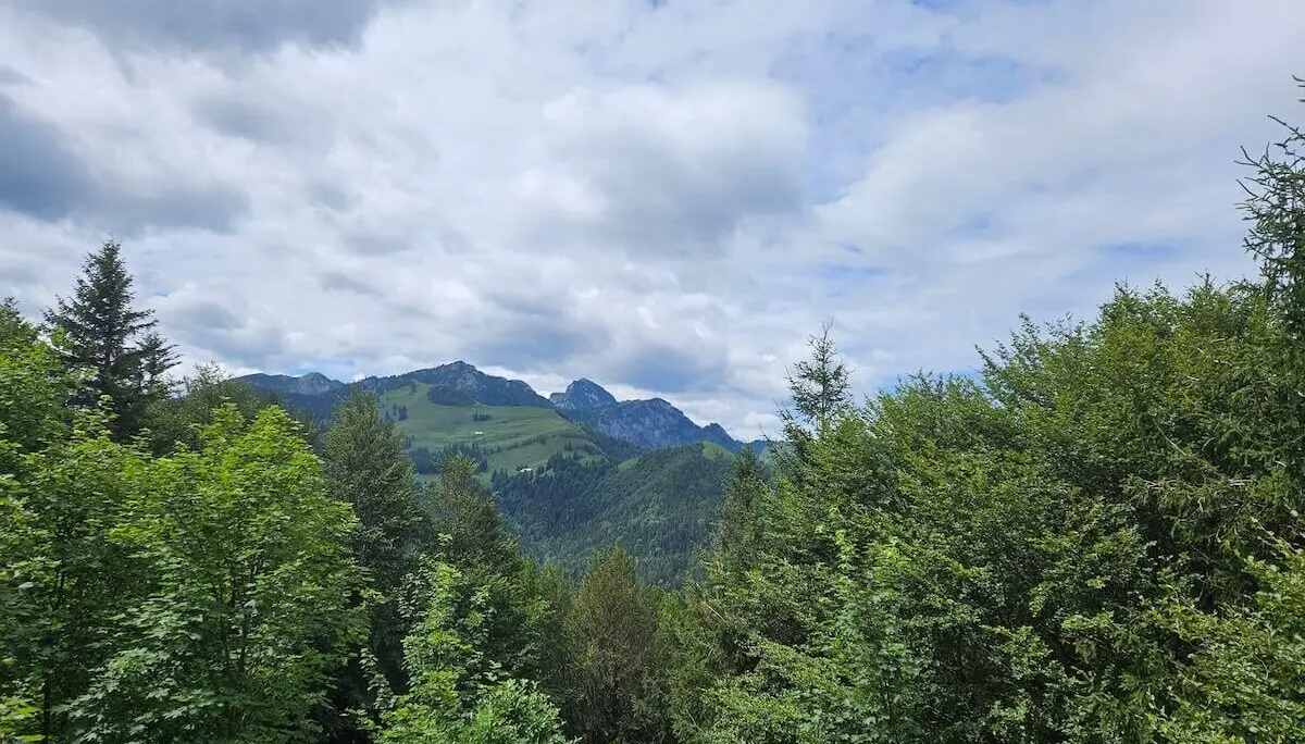 Wanderung Sulzberggebiet Juli 2024 | © DAV Markt Schwaben | Foto Hubert Inhofer