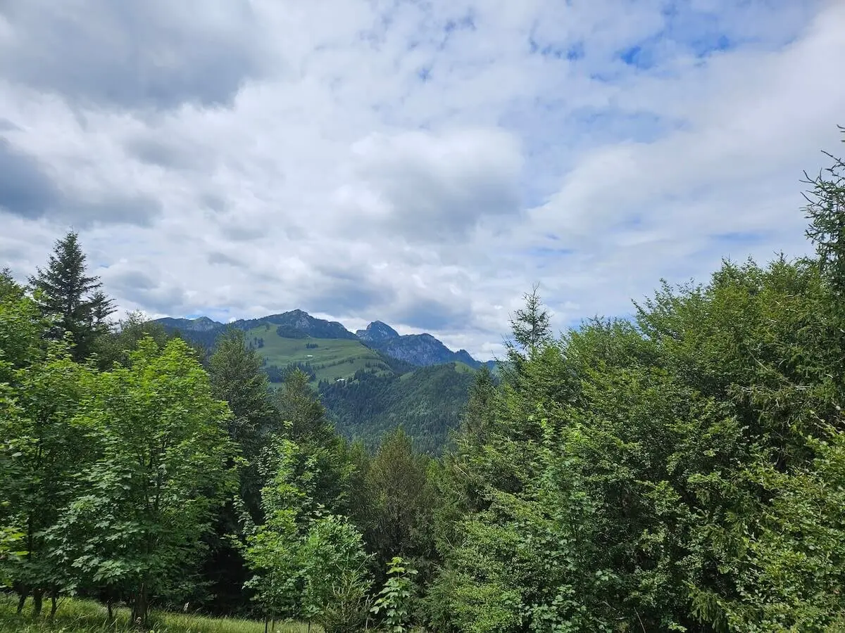 Wanderung Sulzberggebiet Juli 2024 | © DAV Markt Schwaben | Foto Hubert Inhofer