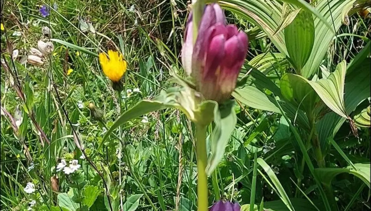 Bergtour in der Steiermark im Hochschwabgebirge - Juli 2024 | © DAV Markt Schwaben | Foto Lutz Gründel