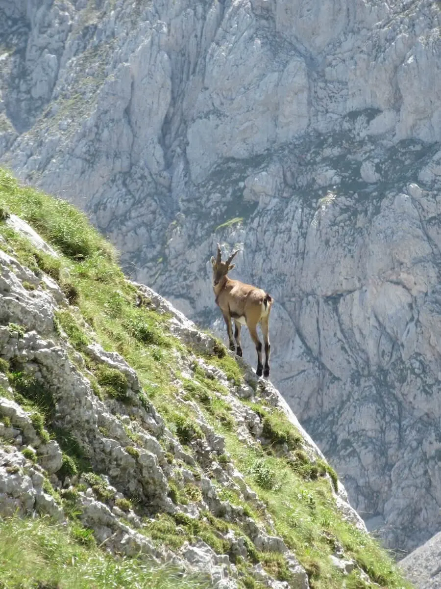 Bergtour in der Steiermark im Hochschwabgebirge - Juli 2024 | © DAV Markt Schwaben | Foto Michael Huber