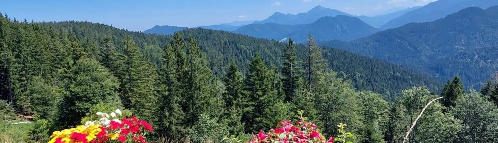 Wanderung Schliersee Gindlalm August 2024 | © DAV Markt Schwaben | Fotot Hubert Inhofer