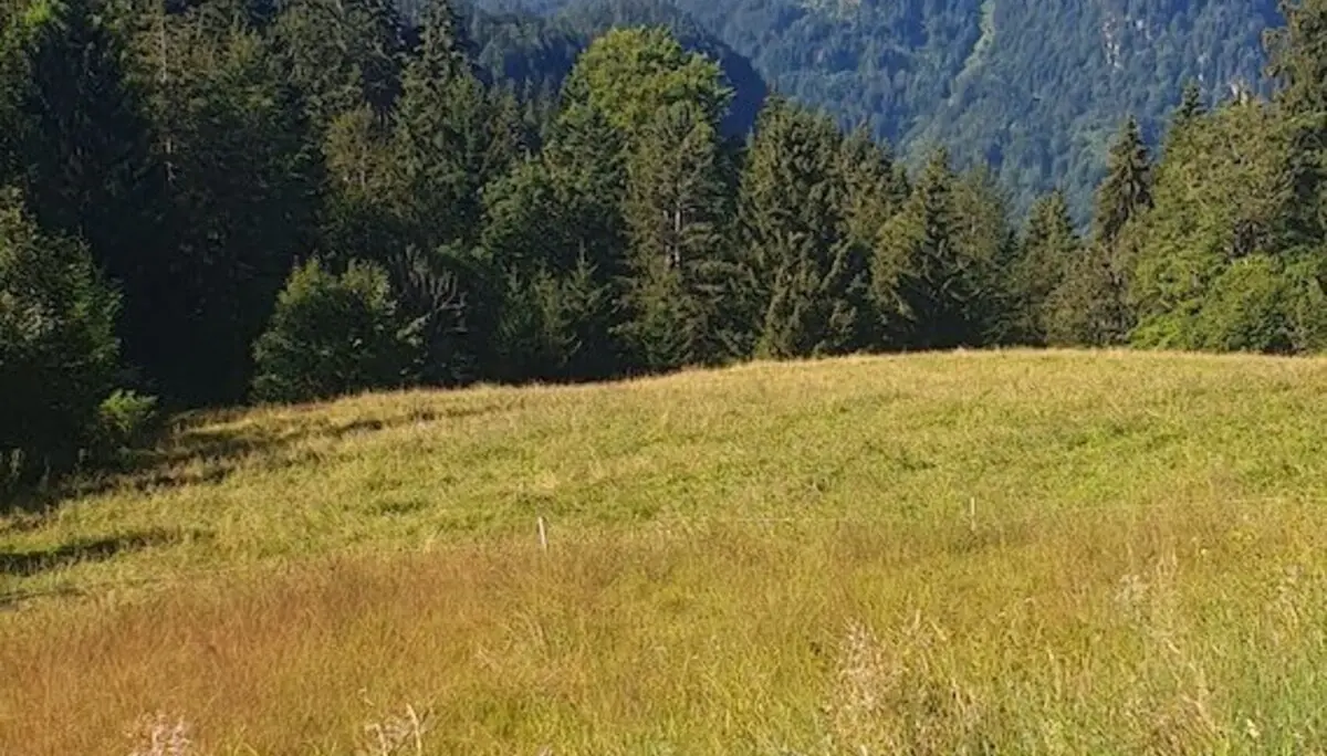 Jahreszeitenwanderung Sommer Taubensee 2024 August | © DAV Markt Schwaben | Foto Anna Maria Blau